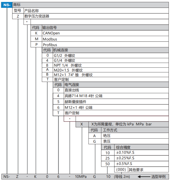 数字压力变送器(图1)